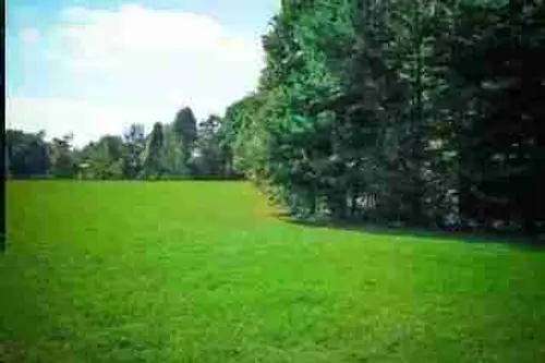 Pine Top - Tiny home community in Sunbright, Tennessee