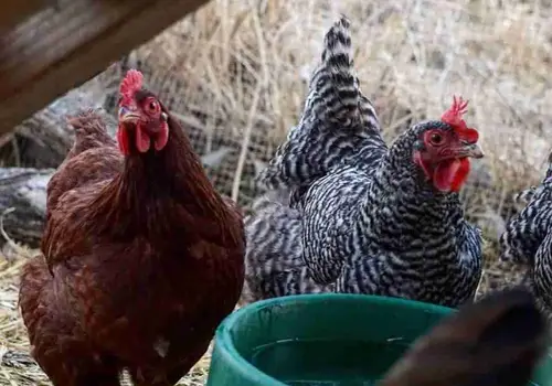 River View at Cleora image 2