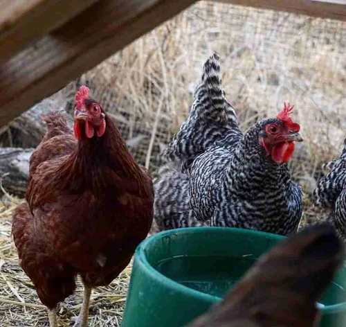 River View at Cleora image 2