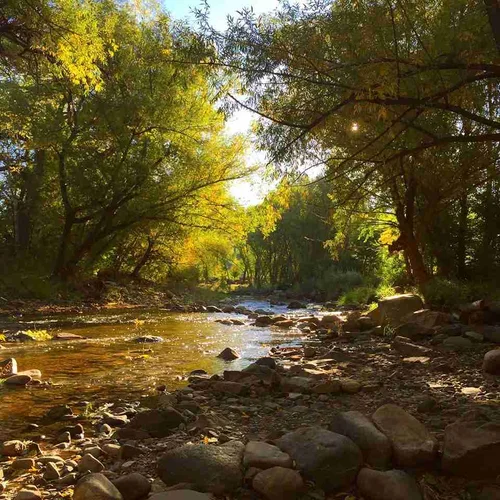 River View at Cleora image 4