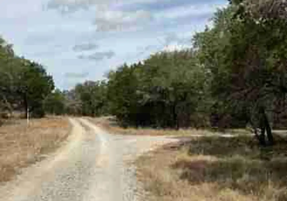 Humankind Hospitality image 1