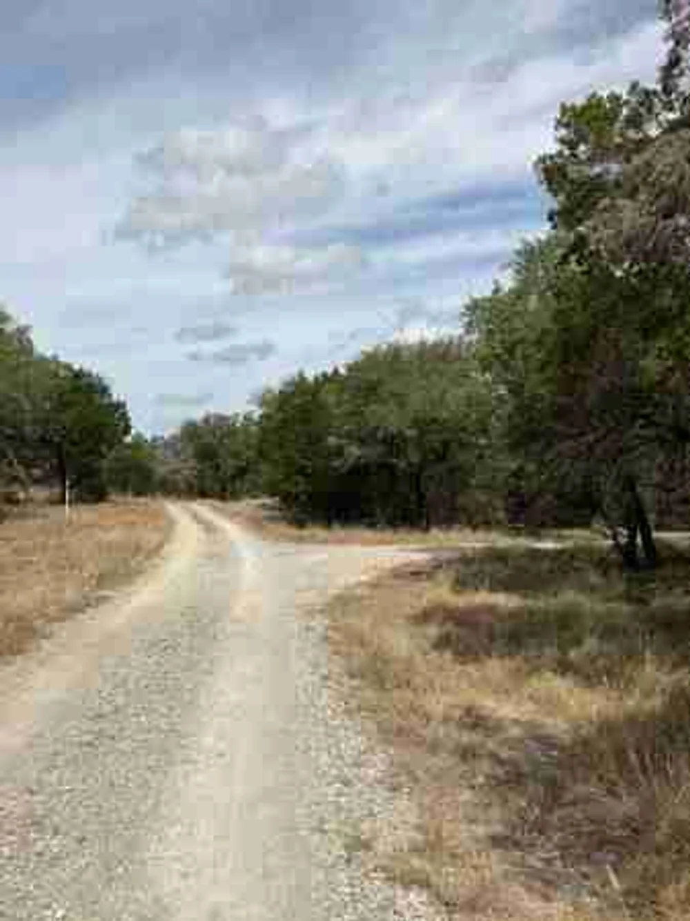 Humankind Hospitality image 1