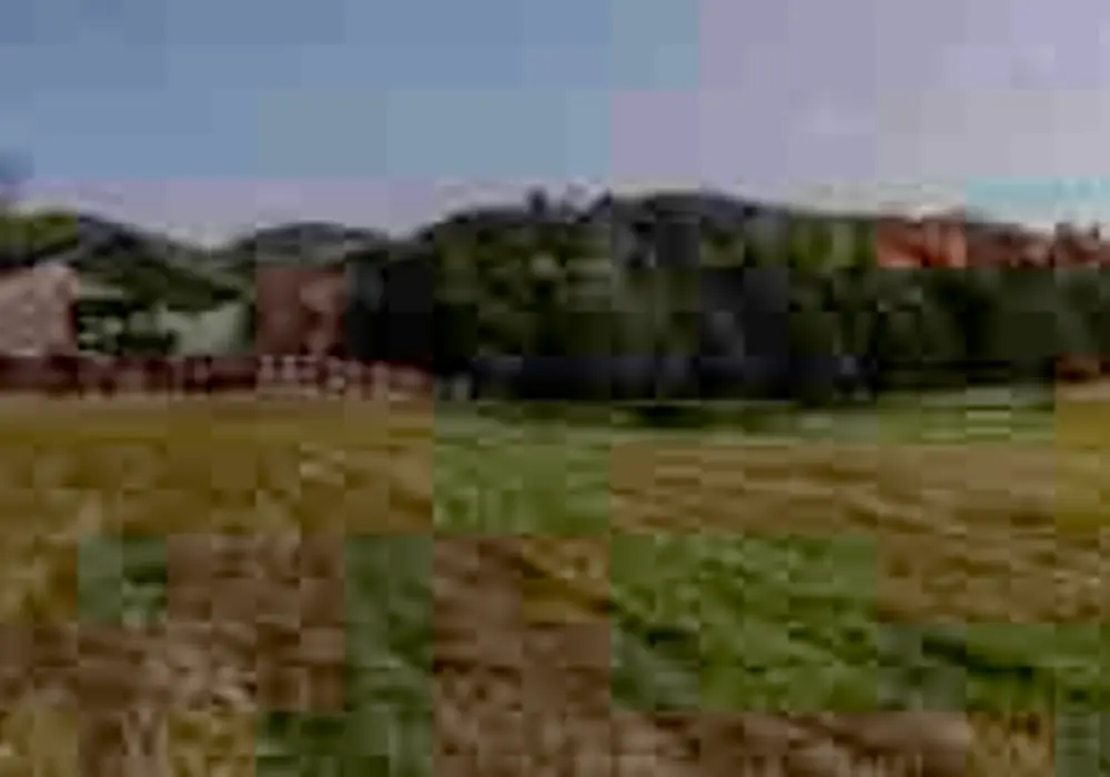 Shannon Farm Community image 1