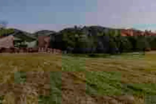 Shannon Farm Community - Tiny home community in Afton, Virginia