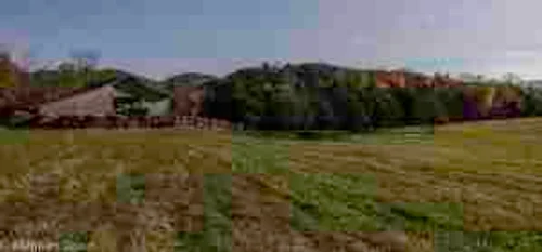 Shannon Farm Community image 4