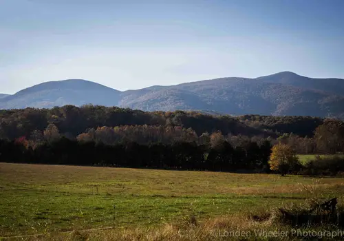 Shannon Farm Community image 2