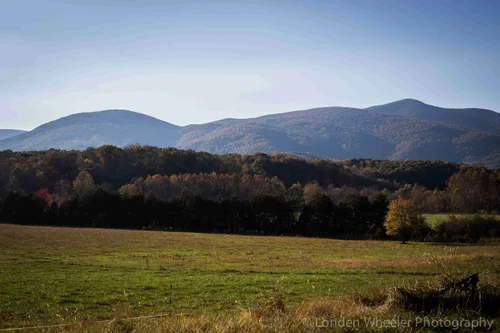 Shannon Farm Community image 2