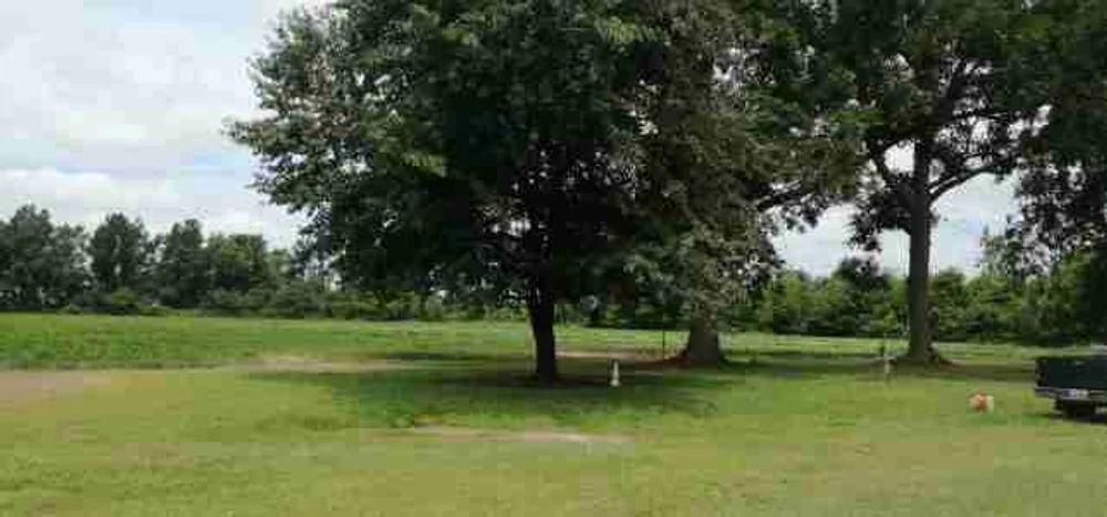 The Shire image 1