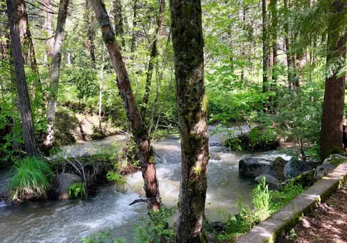 SOL OHANA Community image 4