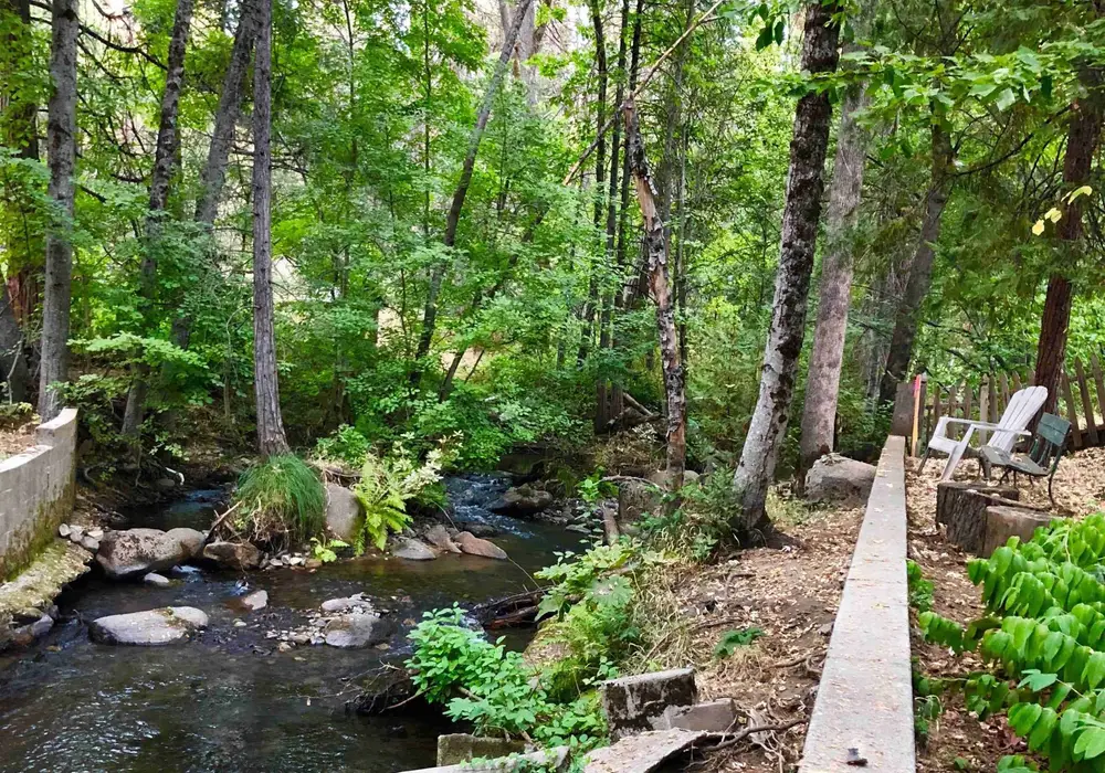 SOL OHANA Community image 1