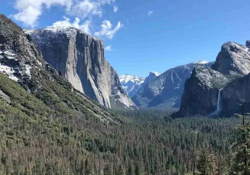 SOL OHANA Community image 3