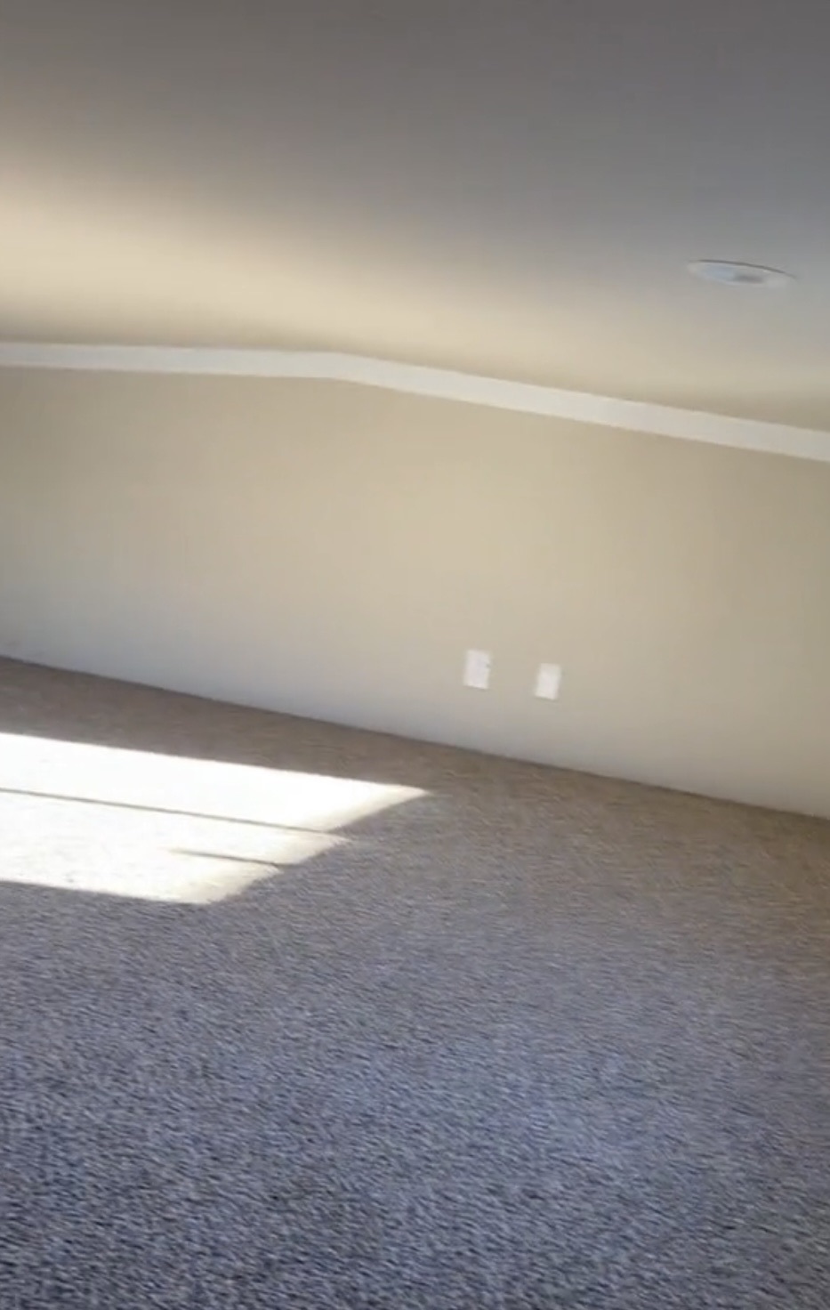 Tiny Home with Main Level Bedroom can be delivered image 4