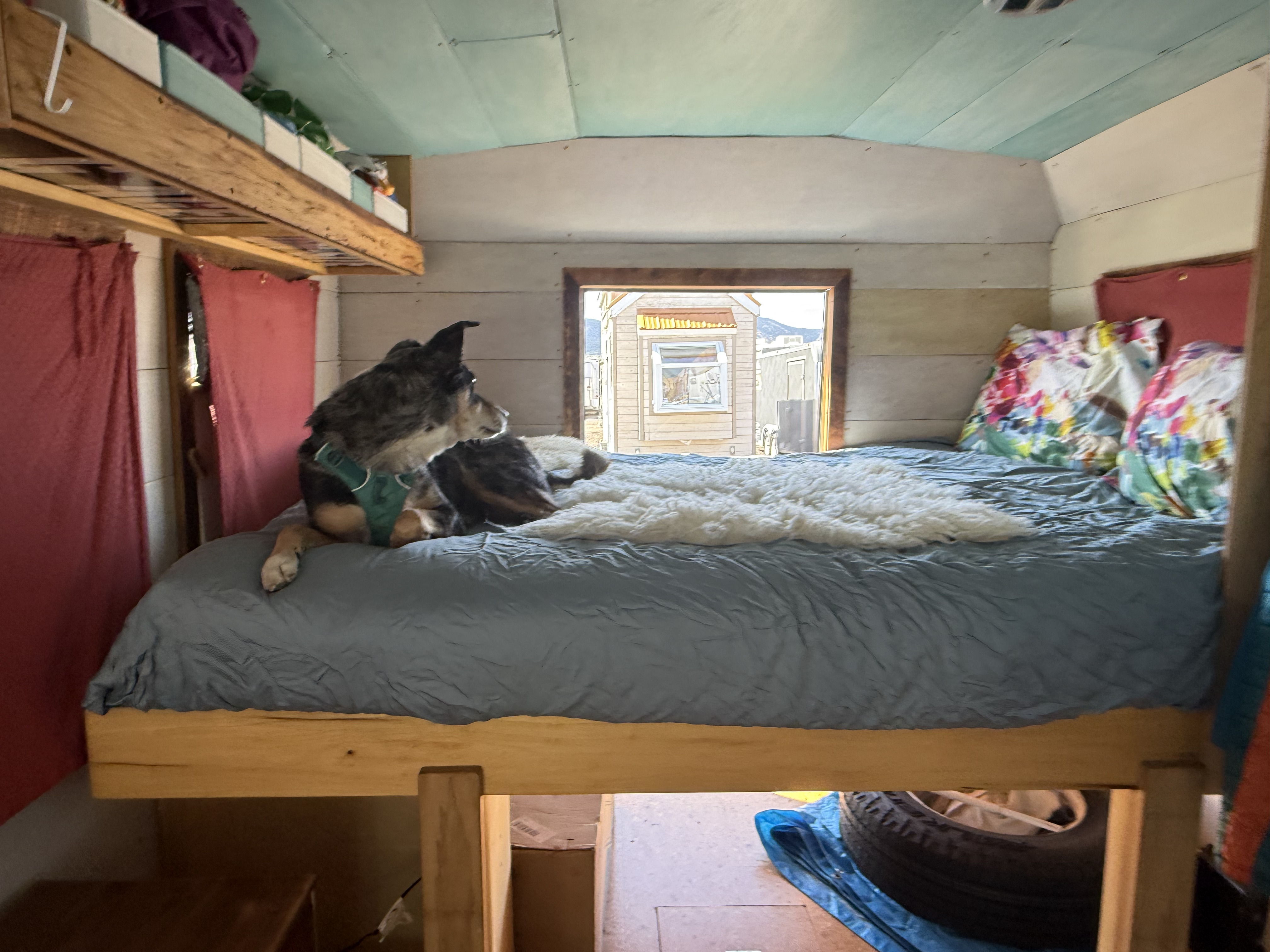 Fully Registered Skoolie For Sale in Denver! image 3