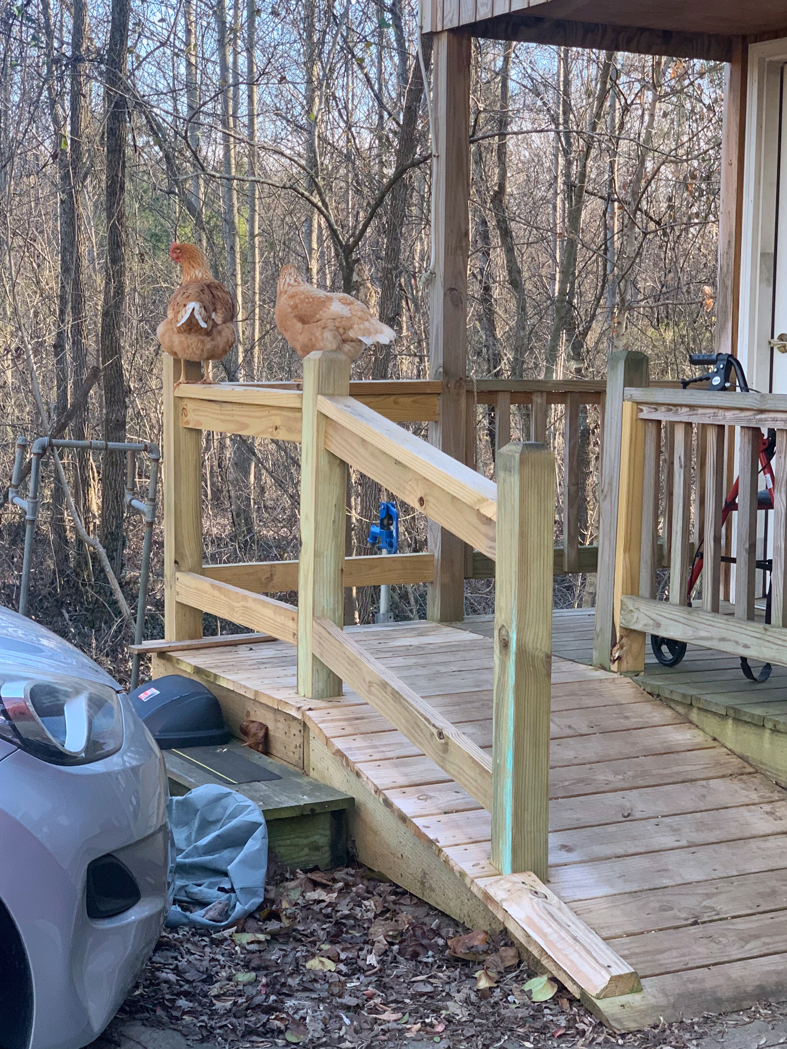 For Sale: Beautiful Tiny Home in Tennessee! image 3