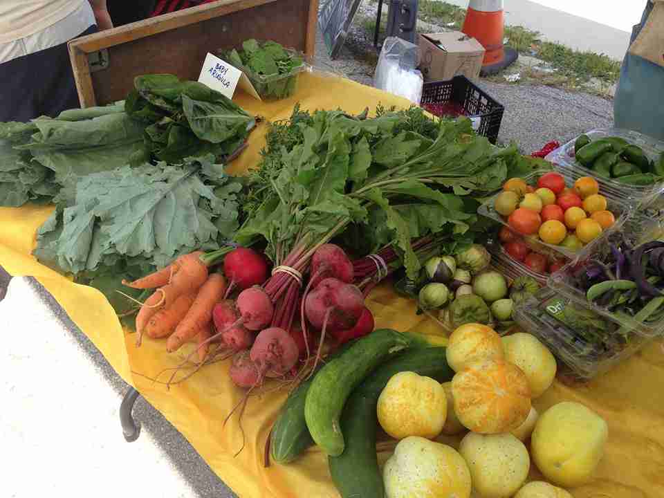 Baltimore Free Farm image 3