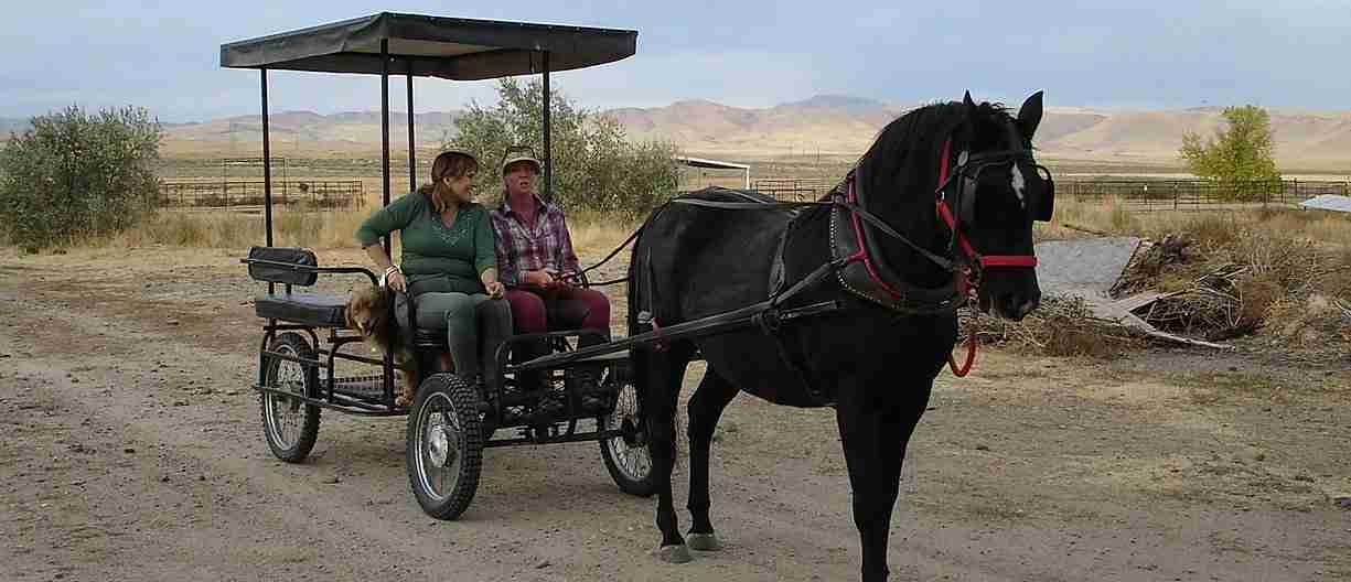 Dream River Ranch image 3