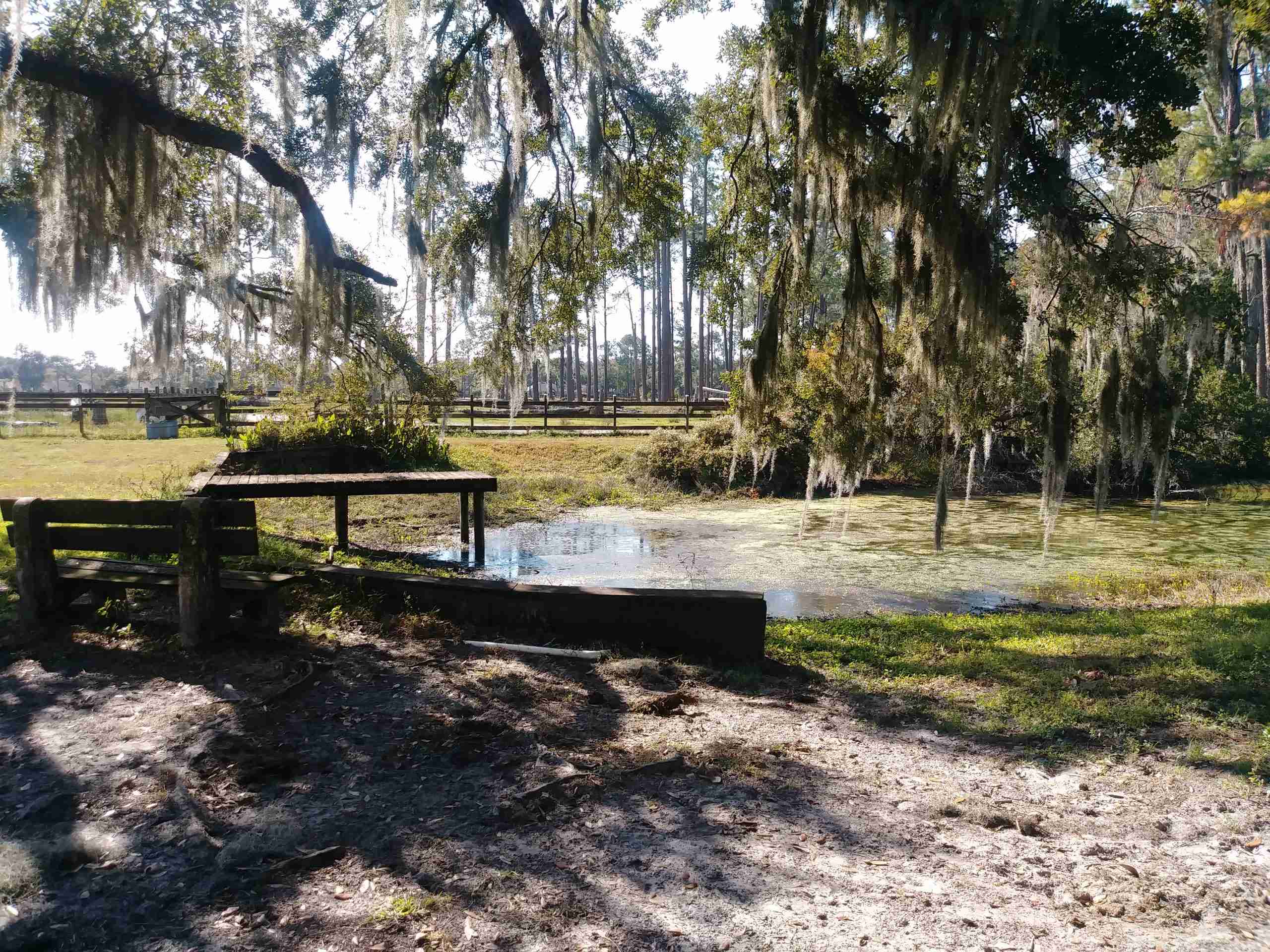 Needmore Land Ranch image 4