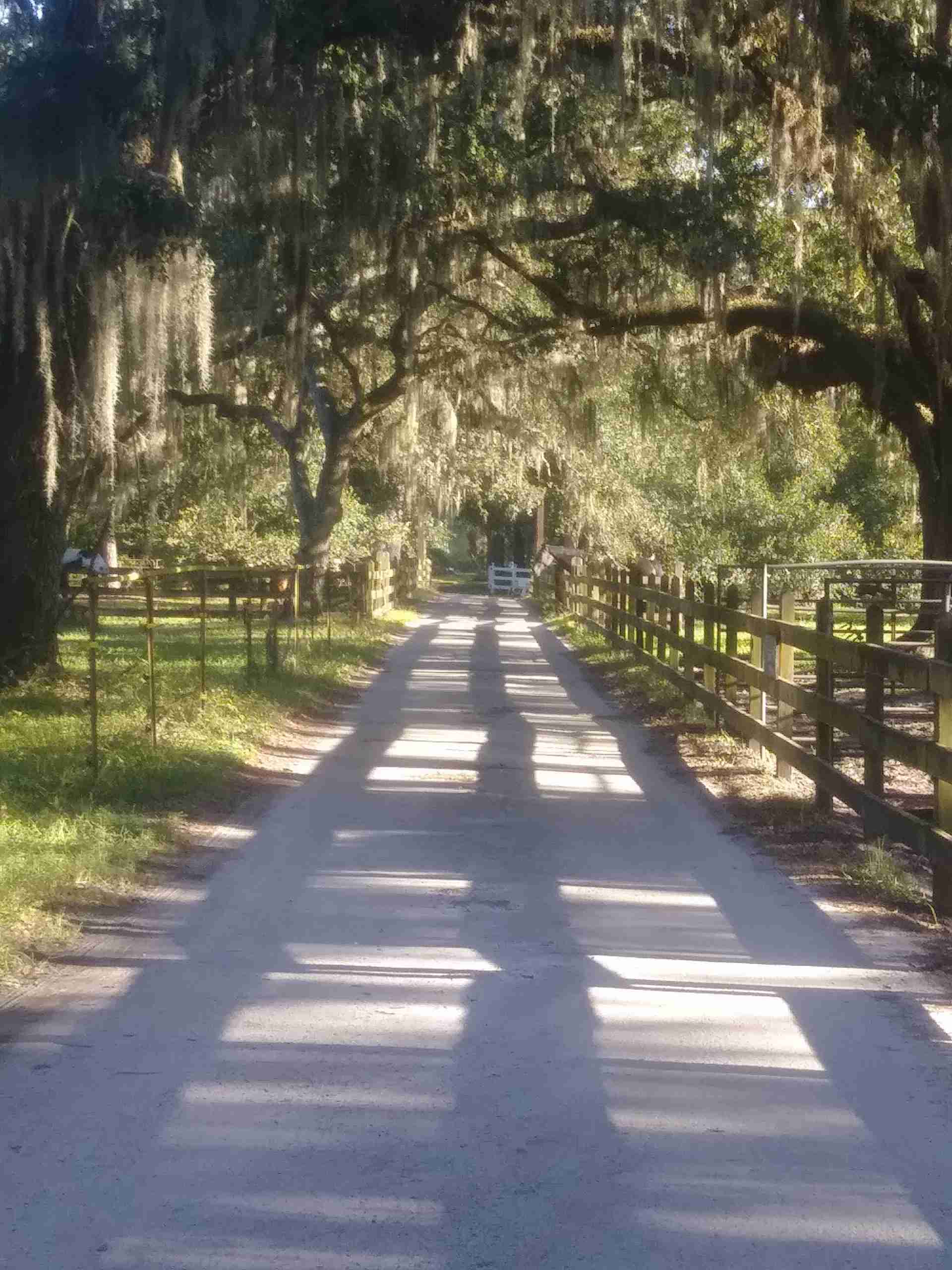 Needmore Land Ranch image 3