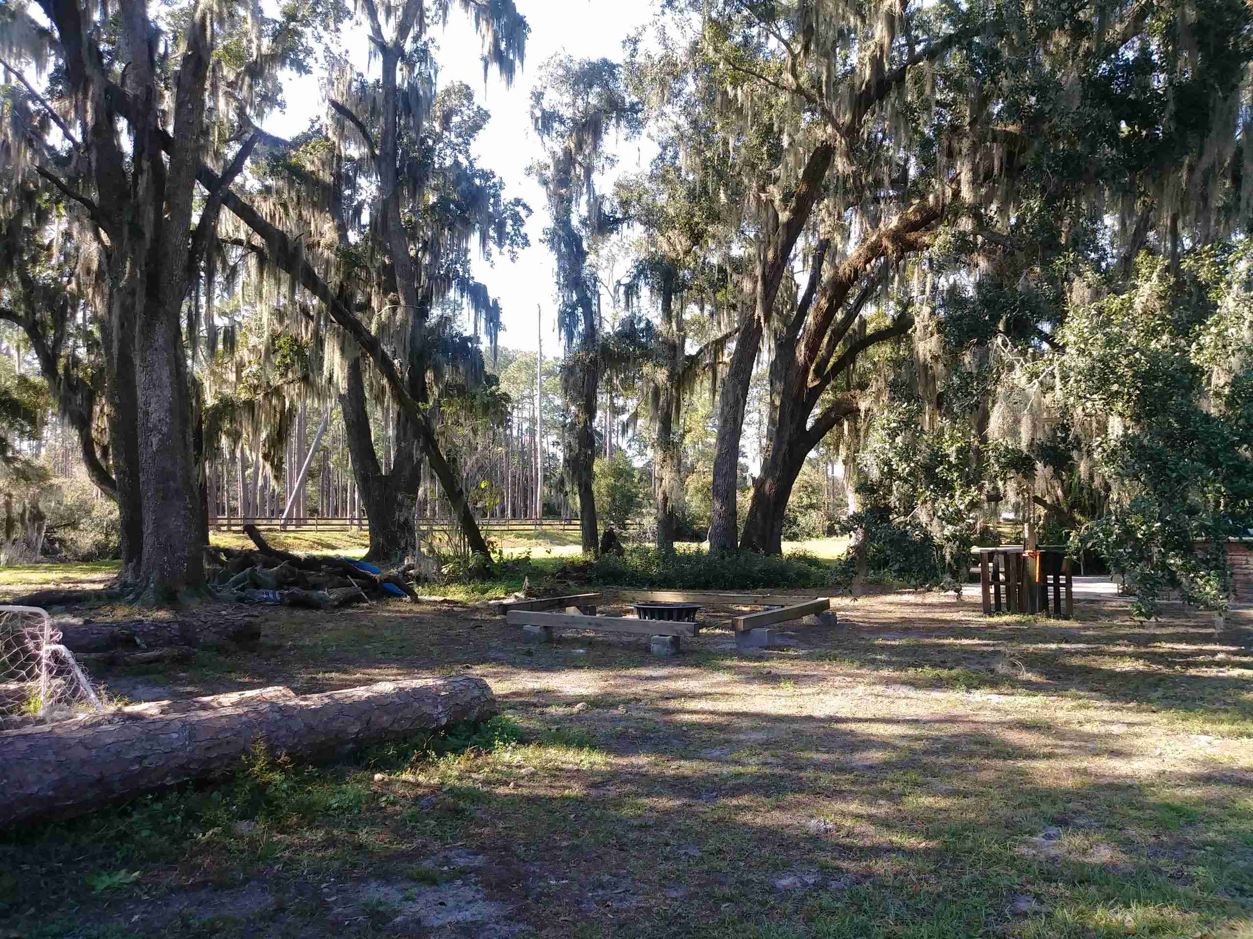 Needmore Land Ranch image 5