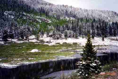 Tiny House Leadville image 3