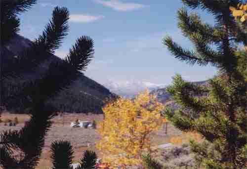 Tiny House Leadville image 2